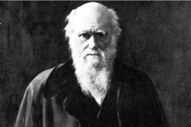Ya lo decía Darwin: "En Argentina todo funcionario público es sobornable"
