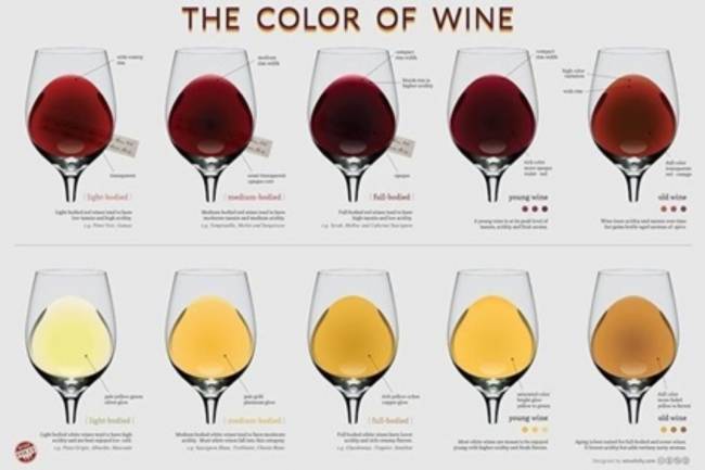 ¿Cuál es el color del vino?