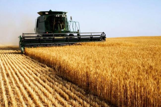 Volvió el pesimismo entre los productores agropecuarios