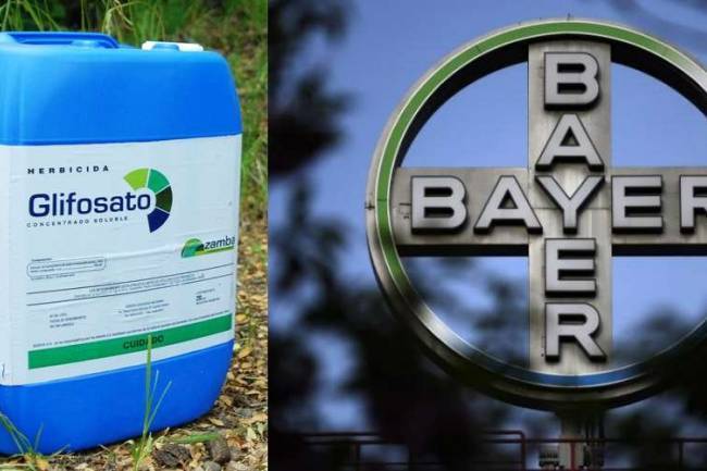 Bayer, Monsanto y la Siesta Viciosa de la Justicia Argentina.