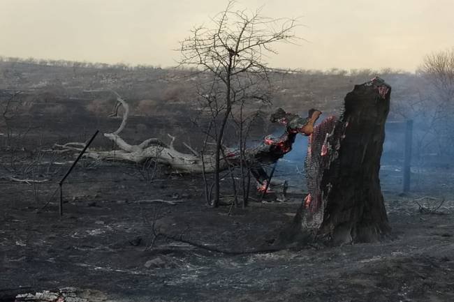 Bomberos combaten diversos focos de incendio en la provincia