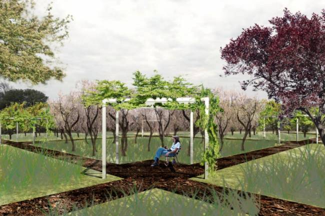 Villa María: El municipio recibirá árboles de Concordia para la futura Plaza de los Frutales
