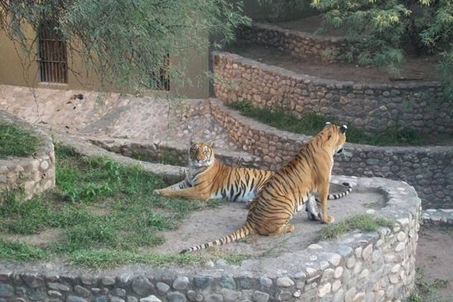 Es oficial: Córdoba se despide del Jardín Zoológico