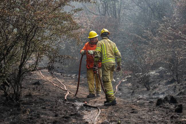 Incendios: Solo permanece activo un sector de Río de los Sauces, en el sur provincial