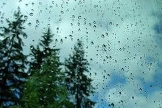 Llegó la lluvia!!! Gracias a todos ustedes que lo pidieron en las redes!!!