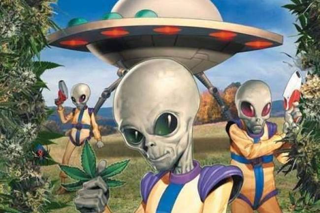 Capilla del Monte:  Una verdadera “Invasión de Otro Mundo” pero no de extraterrestres, sino del mundo de la droga