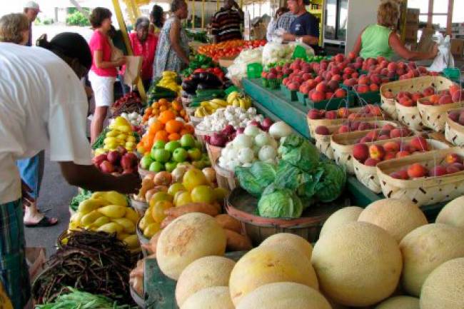 Villa Allende: El sábado comienza la Feria Agroecológica