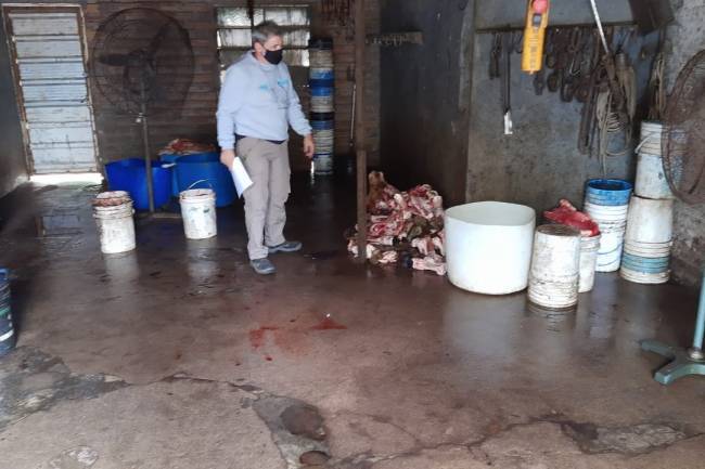 En Colonia Caroya hubo cuatro allanamientos por faena clandestina