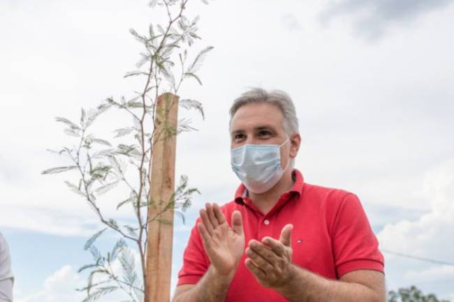 Llaryora plantó el árbol número 10.000, en el marco del Plan de Forestación Urbana