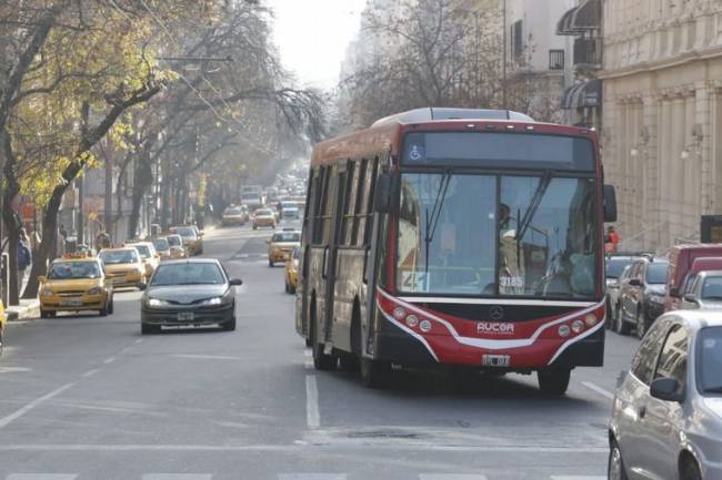 Líneas de transporte urbanos reanudan su recorrido frecuente