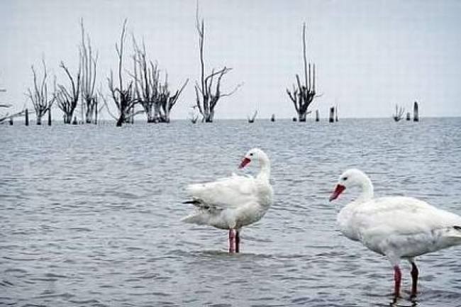 Ansenuza: La leyenda de la diosa india del agua y la maravilla actual de la Laguna de Mar Chiquita