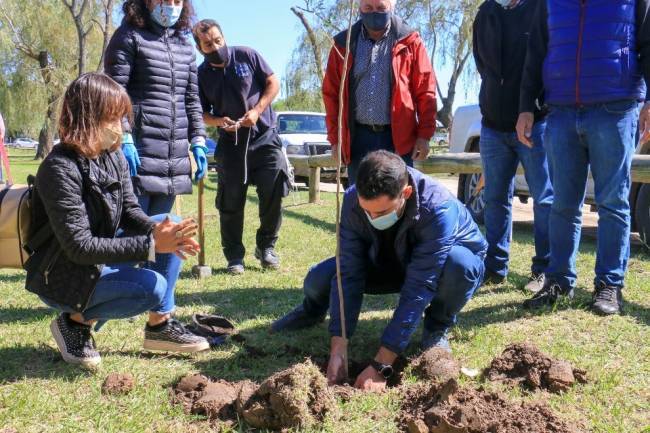 La Costanera sur tiene 1.000 árboles nuevos