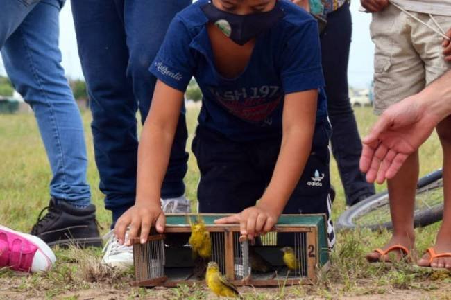 Más de 120 aves silvestres ahora son libres