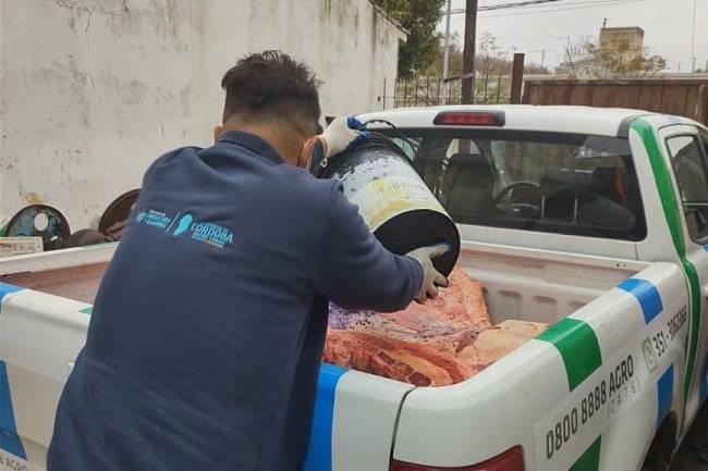 Más de 800 kilos de carne fueron decomisados este viernes en varias carnicerías de Colonia Caroya