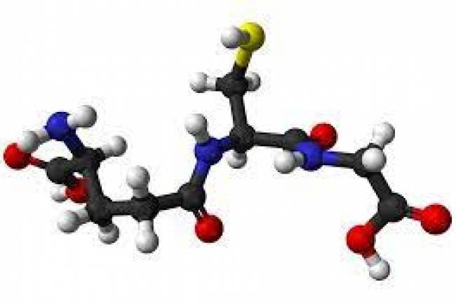 Qué alimentos contienen glutatión?, el antioxidante que reduce el envejecimiento de nuestras celulas