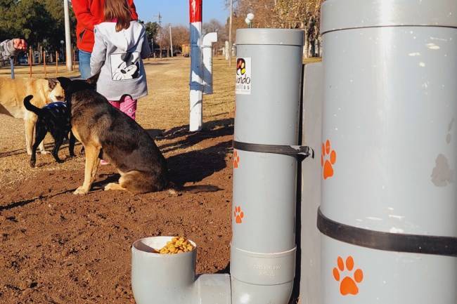 Parque Canino en Jesús María: Original propuesta  para disfrutar con tu mascota