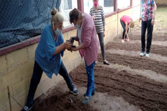 Ofrecen capacitaciones gratuitas sobre huertas para adultos mayores