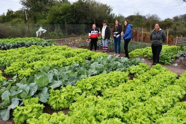 Presentan un proyecto para la creación de 10 mil huertas en todo el país