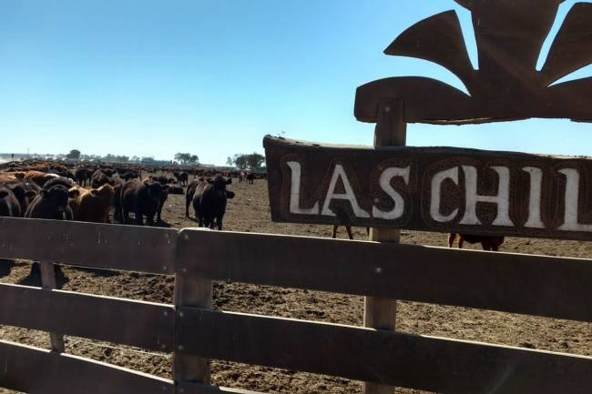 Schiaretti dejó habilitado el gas natural en el Establecimiento Las Chilcas ubicado en Rayo Cortado, departamento Río Seco.