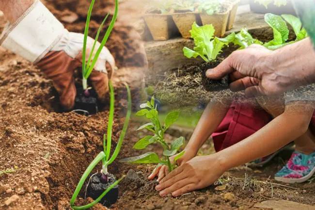 Realizarán un conversatorio sobre agricultura familiar y elaboración de alimentos