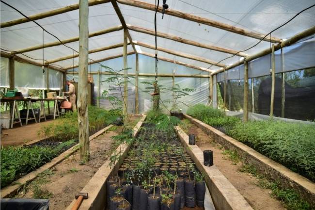 Realizarán una capacitación para viveristas y productores de Villa Carlos Paz