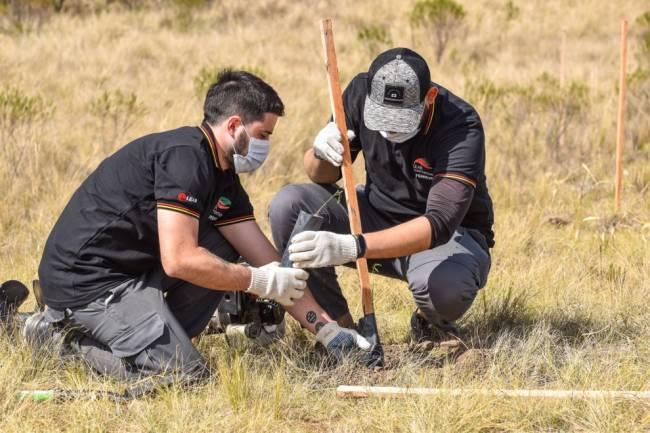 Plantaron mil árboles en Bosque Alegre