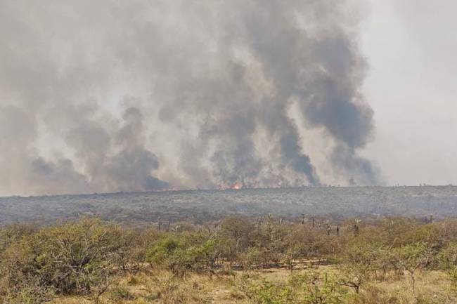 Continúa el combate a las llamas en el norte y el oeste provincial