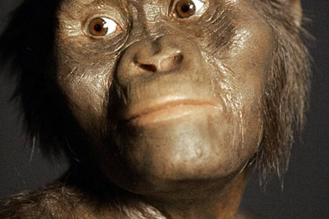Aniversario del descubrimiento de un ícono de la humanidad