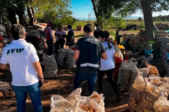 AFIP detectó explotación laboral en campos de papa