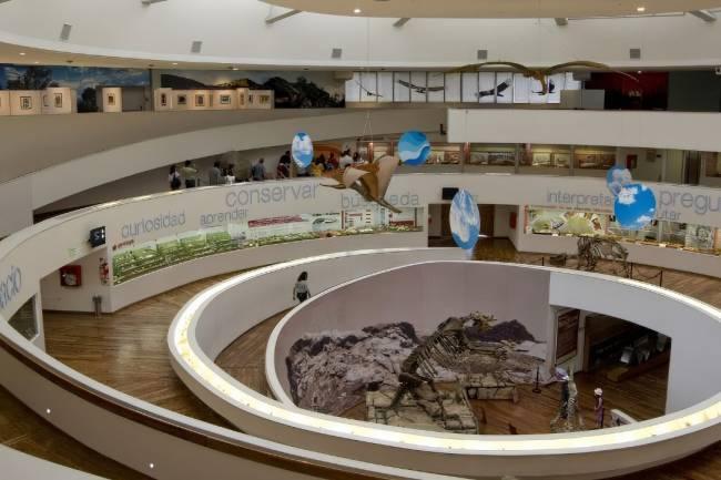  Museo Provincial de Ciencias Naturales, sitio donde el pasado convive con en el presente