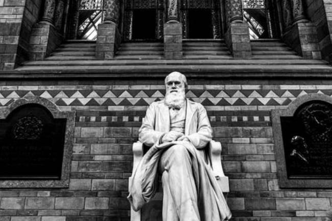 Un genio naturalista como Darwin