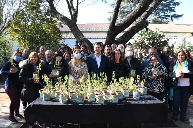 Buscan promover la producción de Peperina