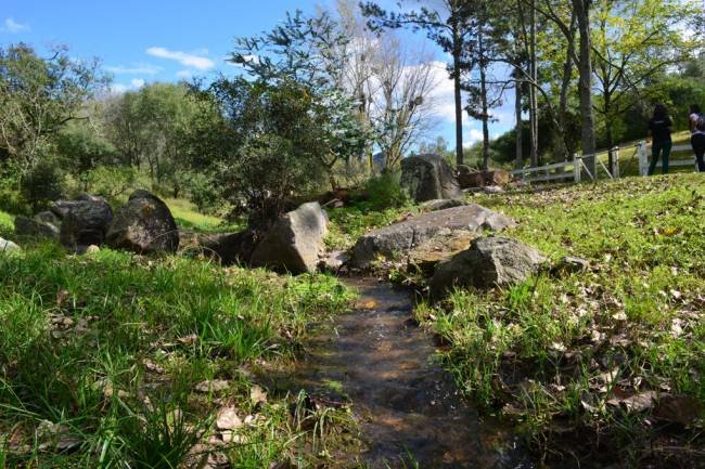 Con una caminata, celebran el aniversario de la Reserva Hídrica Natural Los Manantiales 