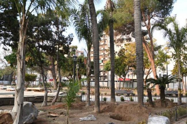 Una Plaza Colón más verde