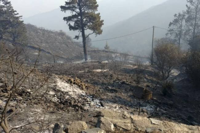 Detenidos, rutas cortadas y un rally suspendido por los incendios en Córdoba