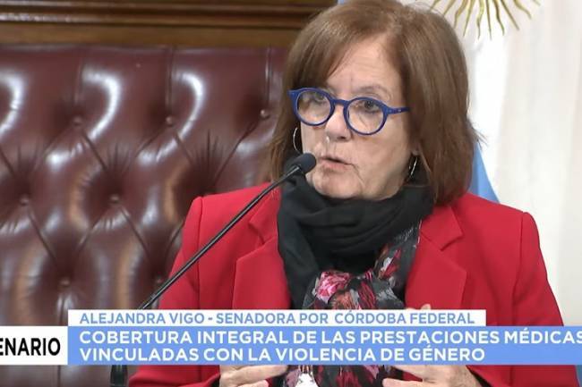 Alejandra Vigo presentó proyecto que busca que la violencia de género sea atendida por las obras sociales