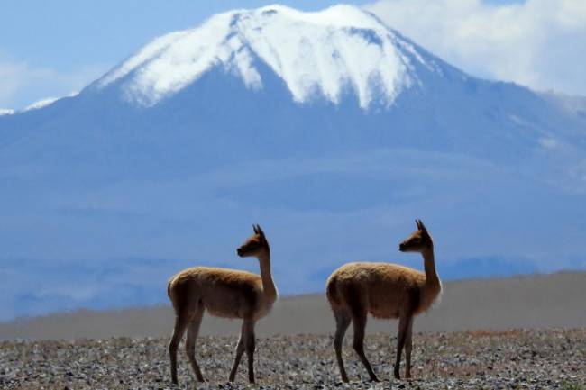 Las montañas, que albergan el 80 por ciento de agua dulce mundial, están en riesgo