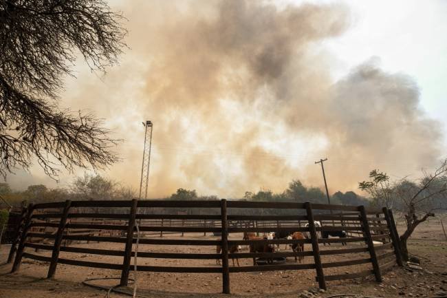 Por los incendios, la Provincia pidió homologar el decreto de emergencia agropecuaria al Gobierno Nacional