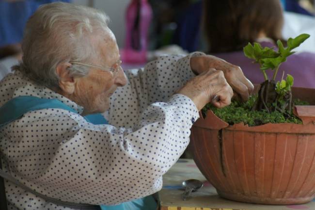 Por una mejor calidad de vida de las personas mayores, está disponible el subprograma de Apoyo Gerontológico