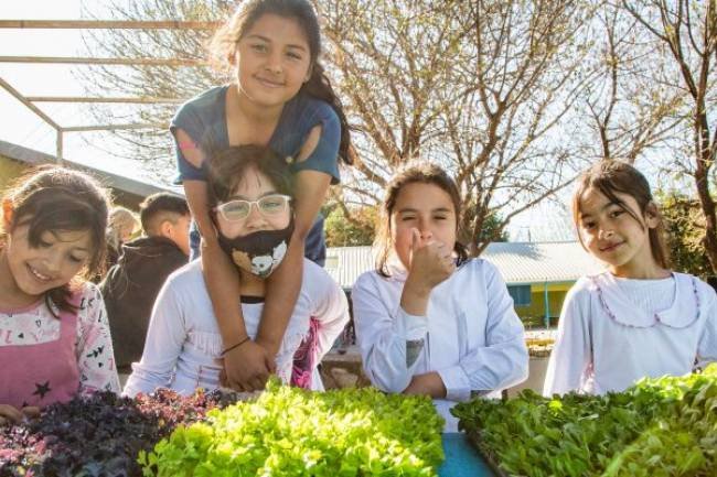 Comienza la segunda edición del programa “Escuelas Verdes” 