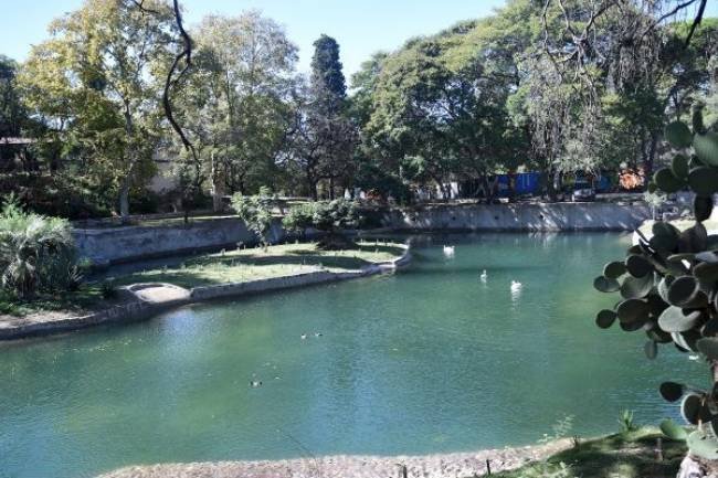 La fauna de Córdoba Capital busca refugio en la laguna del Parque de la Biodiversidad 