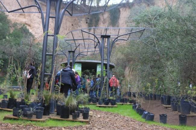 El Paseo de la Flora Nativa, el corazón del Parque de la Biodiversidad