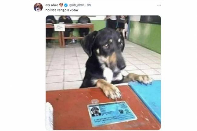 Con las PASO 2023, también pasaron los memes