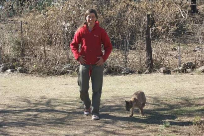 Puma ciego rescatado que vive en una reserva cordobesa