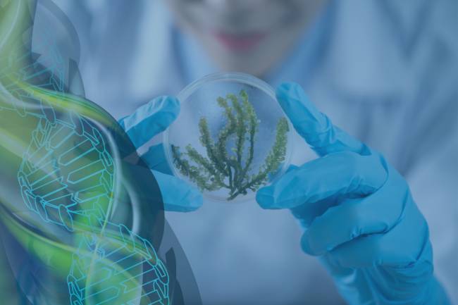 El próximo mes, las nuevas tendencias en biotecnología tendrán su segundo Foro