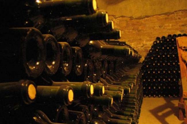 Por qué se duplicó la cantidad de bodegas dedicadas al "turismo del vino" y qué apoyo les da el Gobierno