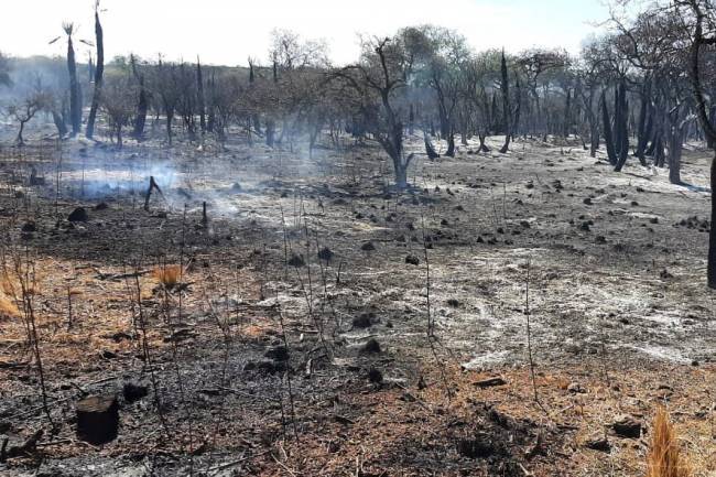 Asistirán a los evacuados por los incendios  efectuados en la zona sur de Punilla