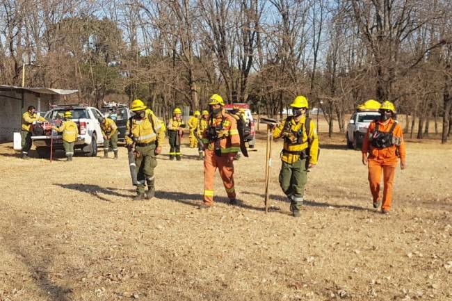 Alivio para los bomberos y la naturaleza: Ya no se registran focos de incendios activos