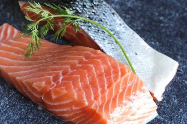 Científicos suecos descubrieron datos claves sobre el pescado azul