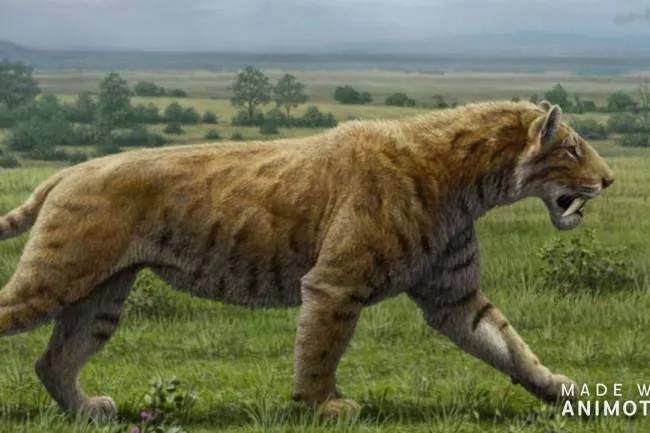 ¿Está La Tierra en peligro de extinción?